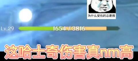 国产AAA免费视频,畅享视听盛宴，尽享高品质影视体验