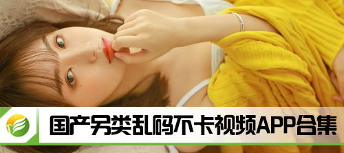 国产在线乱,揭秘国内网络乱象背后的真相与挑战